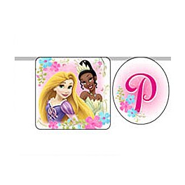 Disney Fanciful Princess Banner Disney Fanciful Princess Banner